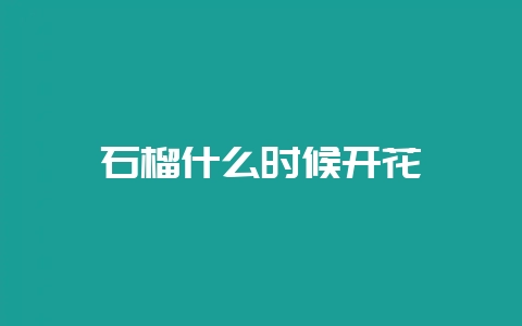 石榴什么时候开花-会东网