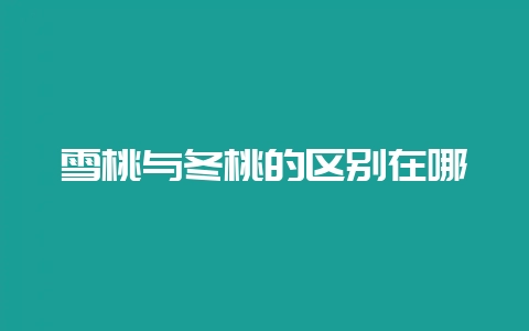 雪桃与冬桃的区别在哪-会东网