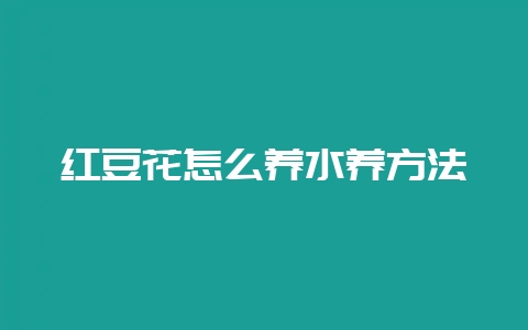 红豆花怎么养水养方法-会东网