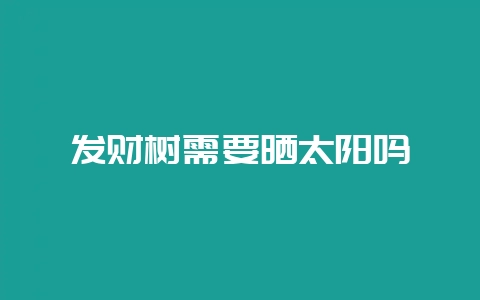 发财树需要晒太阳吗-会东网