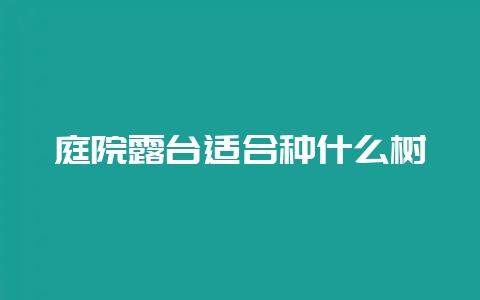 庭院露台适合种什么树-会东网