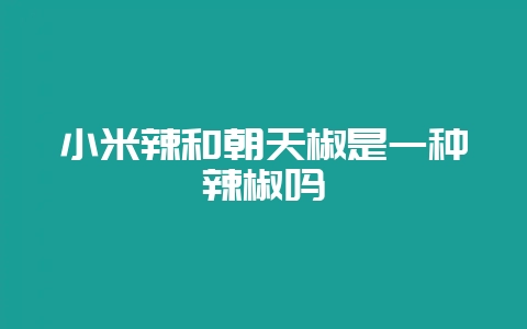 小米辣和朝天椒是一种辣椒吗-会东网