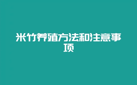 米竹养殖方法和注意事项-会东网