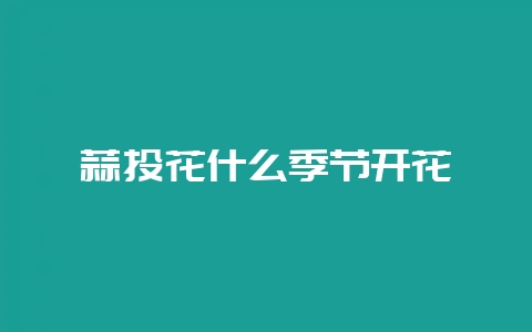 蒜头花什么季节开花-会东网