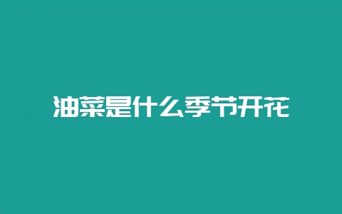 油菜是什么季节开花-会东网