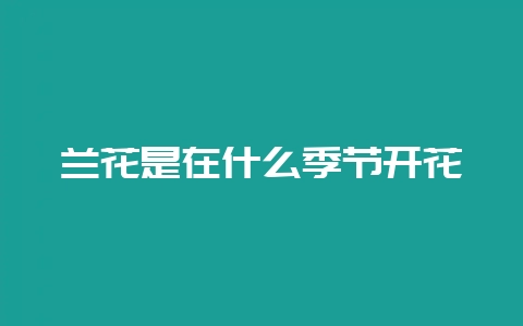兰花是在什么季节开花-会东网