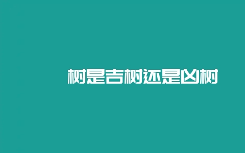 枸杞树是吉树还是凶树-会东网