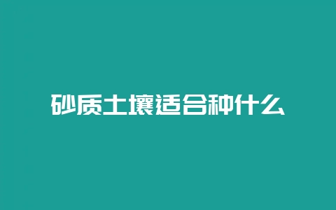 砂质土壤适合种什么-会东网