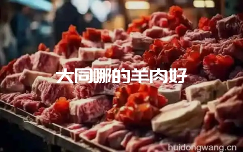 大同哪的羊肉好-会东网