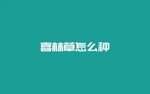 喜林草怎么种-会东网
