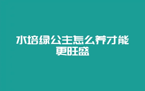 水培绿公主怎么养才能更旺盛-会东网