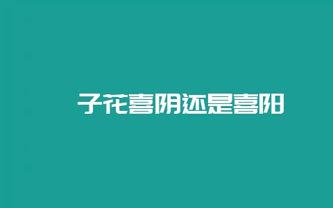 栀子花喜阴还是喜阳-会东网