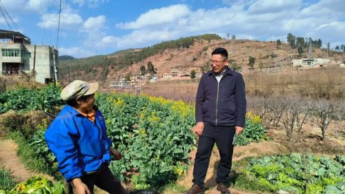 安平代表深入调研，为会东城乡融合发展献良策插图