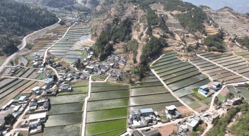 会东县“旱改水”助力农业升级，绘就致富新画卷-会东网