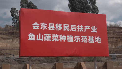 鱼城街道鱼山居民点：白鹤滩水电移民新家园的蔬菜大棚示范基地引领乡村振兴之路插图2