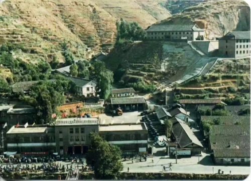 会理：力马河村杨梅盛宴，共赴“梅好”时光插图4