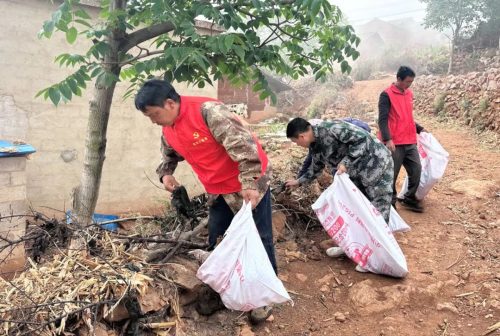 会东县：乌东德镇人居环境整治“不松劲”持续攻坚促提升插图3