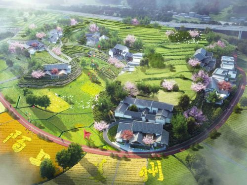 姜州镇打造文旅乡村，振兴乡村经济新典范插图3