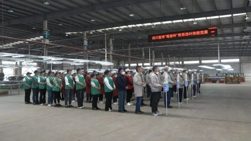 四川复烤“蜀香杯”选叶技能竞赛：提升服务质效，培育行业精英-会东网