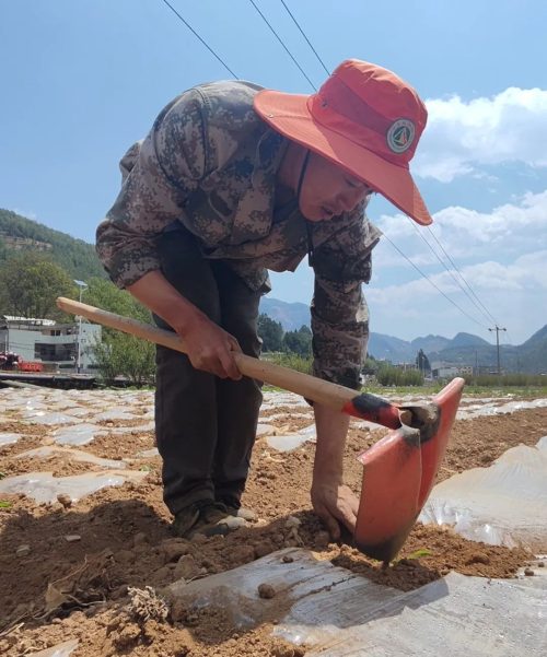 会东重拳出击治理“白色污染”，助推农业绿色高质量发展插图