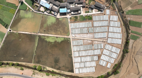 会东抢抓烤烟育苗管理，确保烟苗稳健生长迎丰收插图4