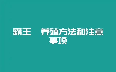 霸王蕨养殖方法和注意事项-会东网