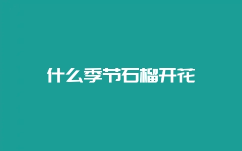 什么季节石榴开花-会东网