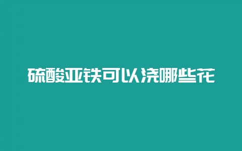 硫酸亚铁可以浇哪些花-会东网