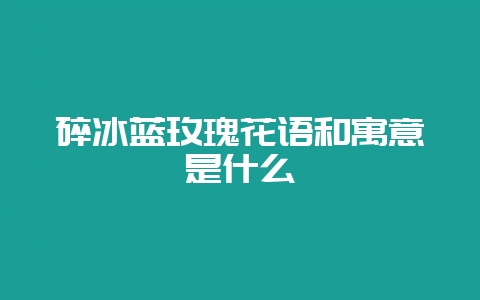碎冰蓝玫瑰花语和寓意是什么-会东网