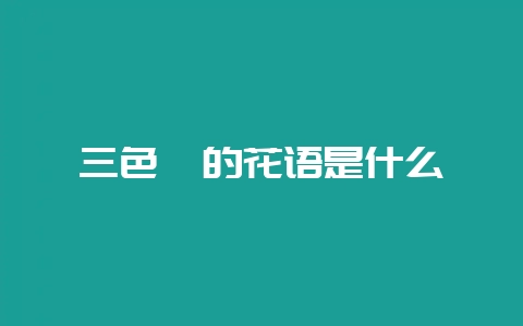 三色堇的花语是什么-会东网