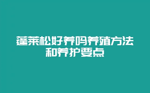 蓬莱松好养吗养殖方法和养护要点-会东网