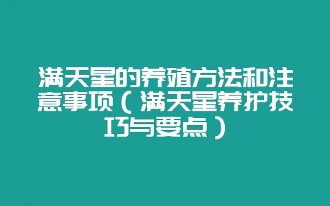 满天星的养殖方法和注意事项（满天星养护技巧与要点）-会东网