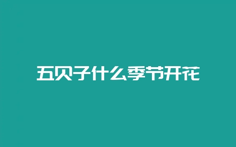 五贝子什么季节开花-会东网