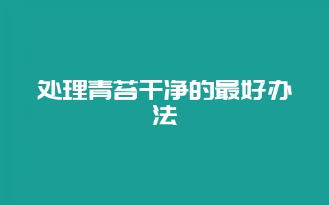 处理青苔干净的最好办法-会东网