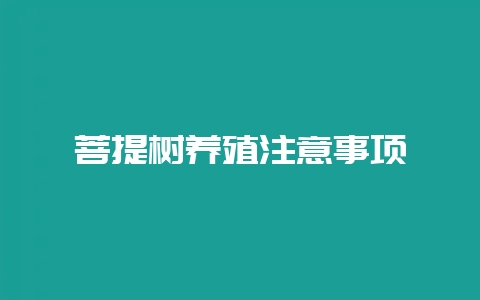 菩提树养殖注意事项-会东网
