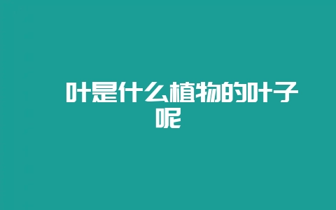 粽叶是什么植物的叶子呢-会东网
