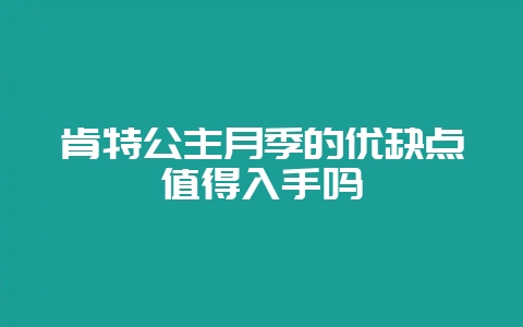 肯特公主月季的优缺点值得入手吗-会东网
