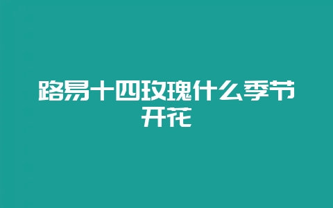 路易十四玫瑰什么季节开花-会东网