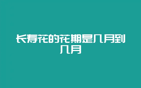 长寿花的花期是几月到几月-会东网