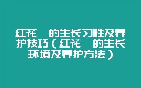红花楹的生长习性及养护技巧(红花楹的生长环境及养护方法)-会东网