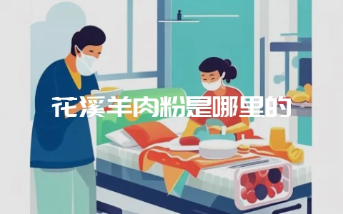 花溪羊肉粉是哪里的-会东网