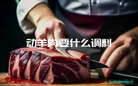 动羊肉要什么调料-会东网