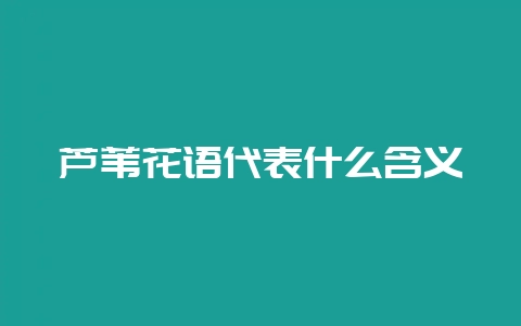 芦苇花语代表什么含义-会东网