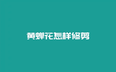 黄蝉花怎样修剪-会东网