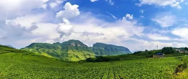 会东机场最新进展(了解会东机场最新动态)-会东网