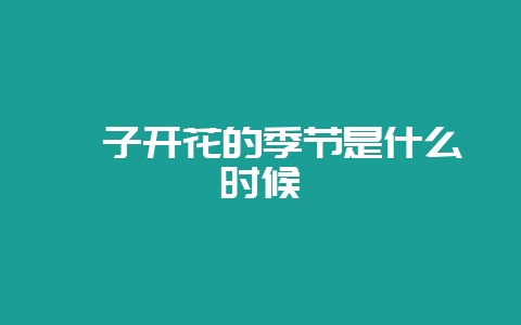 栀子开花的季节是什么时候-会东网