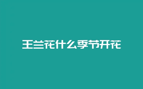 王兰花什么季节开花-会东网