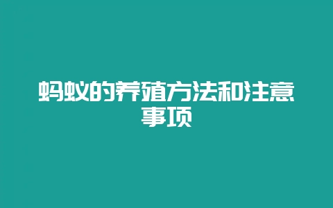 蚂蚁的养殖方法和注意事项-会东网
