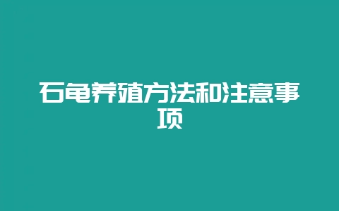 石龟养殖方法和注意事项-会东网