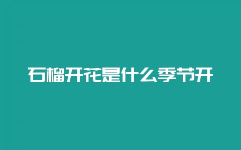 石榴开花是什么季节开-会东网